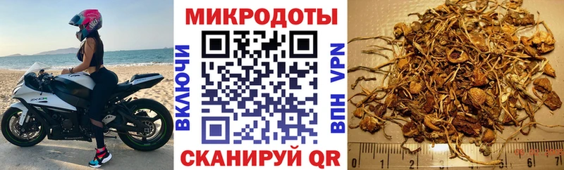 Псилоцибиновые грибы MAGIC MUSHROOMS  где можно купить   Красково 